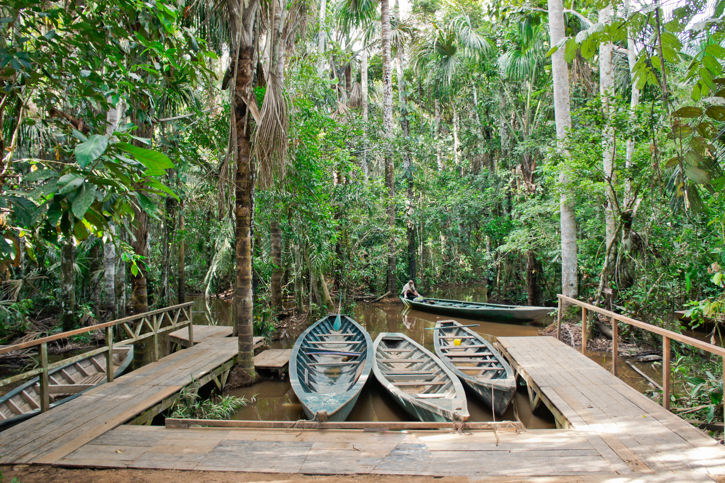 tambopata reserve (3).webp